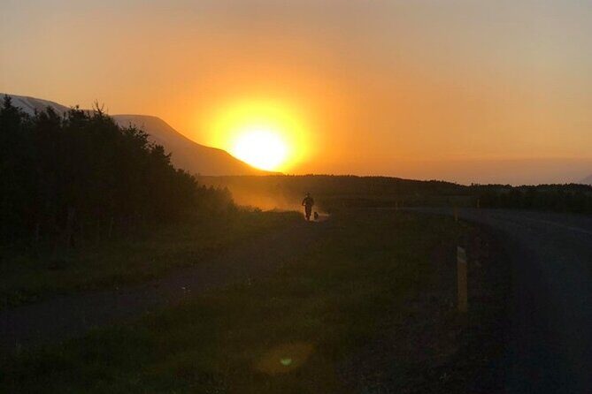 Hiking with Husky in Akureyri - Holding the leash: what the husky hike feels like
