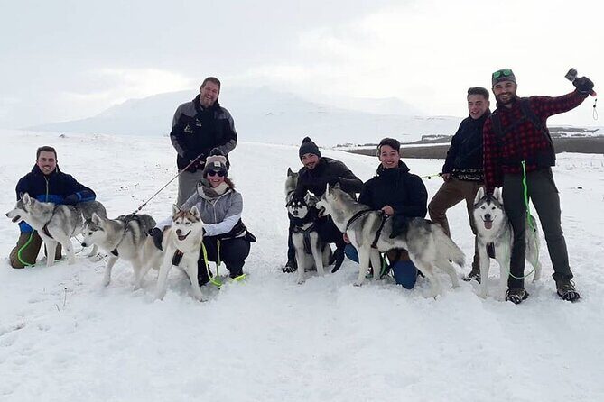 Hiking with Husky in Akureyri - Choosing your pace: strength of the dogs vs. trail comfort