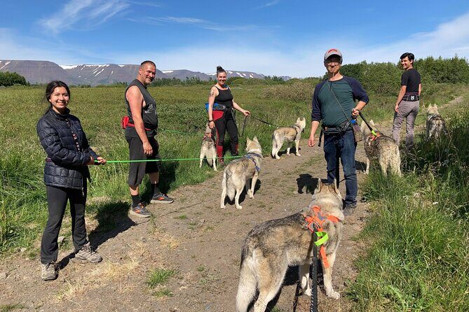 Hiking with Husky in Akureyri - Value check: why $138.17 feels fair for a 2-hour husky experience