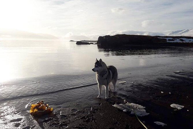 Hiking with Husky in Akureyri (private) - Where You Start: Glæsibær and the Easy Pickup Plan