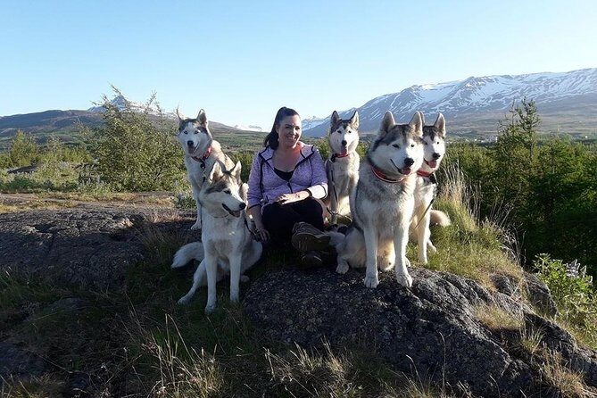 Hiking with Husky in Akureyri (private) - How the Walk Works: Harnesses, Husky Teaming, and Guided Control