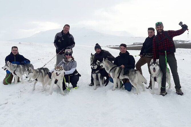 Hiking with Husky in Akureyri (private) - Photo Time and Cuddles: This Isn’t a Grab-and-Go Encounter