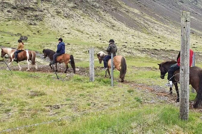 Horse Riding Tour in Reykjadalur (Smoky Valley)-All Riding Levels - Reykjadalur horse riding starts near Hveragerði, not deep in the wild