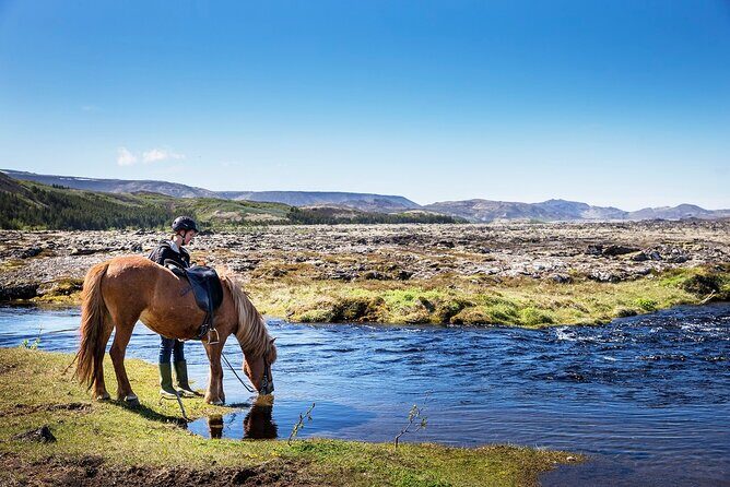 Horseback Riding Tour in Iceland - Key highlights you’ll feel on the ride