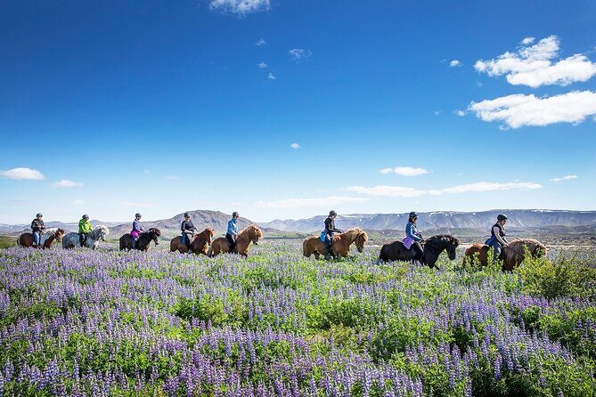 Horseback Riding Tour in Iceland - Price and value: is $135.16 worth a 50-minute ride?
