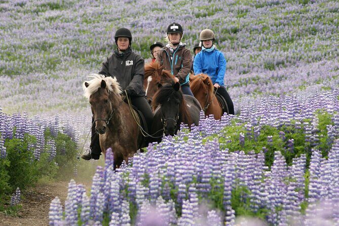 Horseback Riding Tour in Iceland - Weather reality: what good Iceland planning looks like