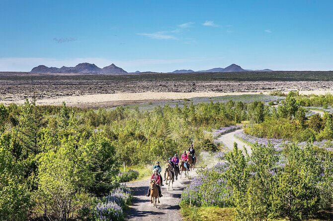 Horseback Riding Tour in Iceland - The ride itself: mossy lava fields and real Iceland scenery