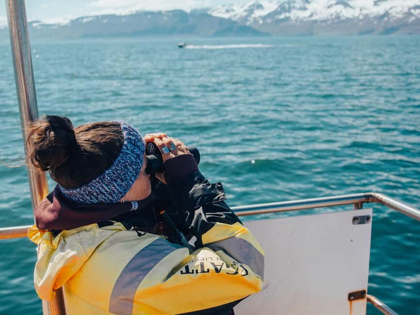 Húsavík: Family-Run and Guided Whale Watching Tour - Seasickness Check: This One Isn’t for Everyone