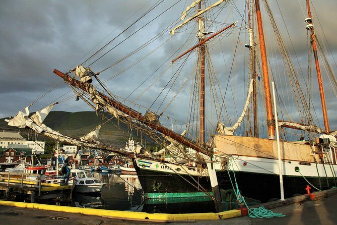 Húsavík walking tour - A short Húsavík walk that still feels like a real introduction