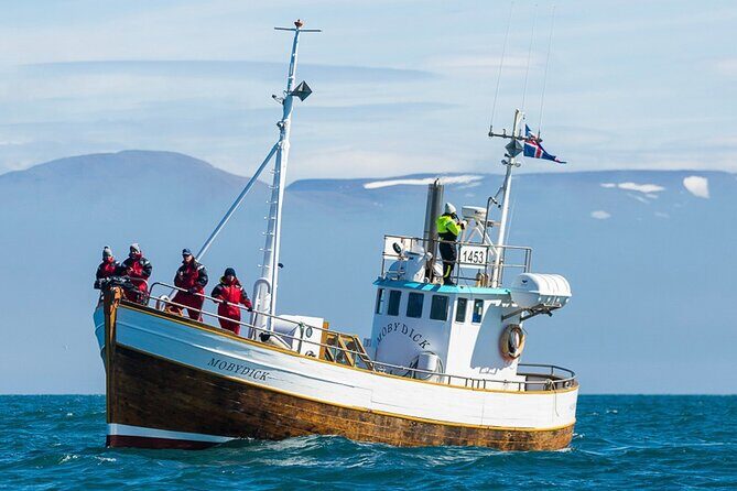 Húsavík Whale Watching Tour, family owned and operated - Key Highlights You’ll Care About