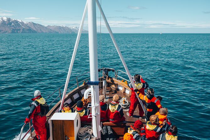Húsavík Whale Watching Tour, family owned and operated - Skjálfandi Bay to Kinnarfjöll: How the Trip Actually Plays Out