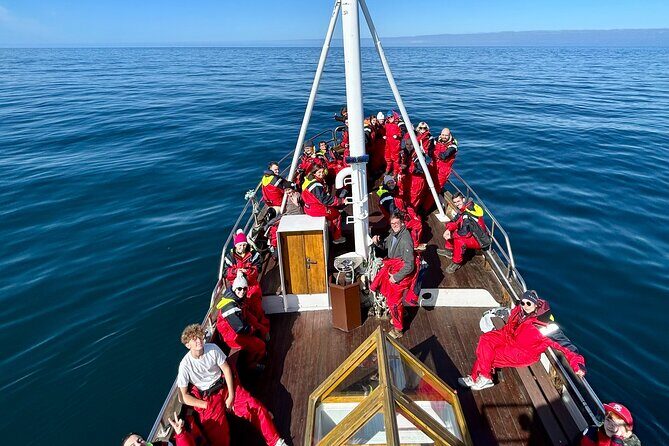 Húsavík Whale Watching Tour, family owned and operated - Private-Group Feel: Why Smaller Boats Can Be Better