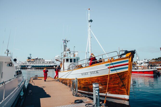 Húsavík Whale Watching Tour, family owned and operated - The Boat, the Crew, and Why Moby Dick Feels Practical