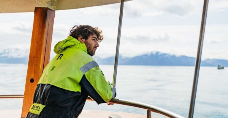 Húsavík: Whale Watching Tour with Guide