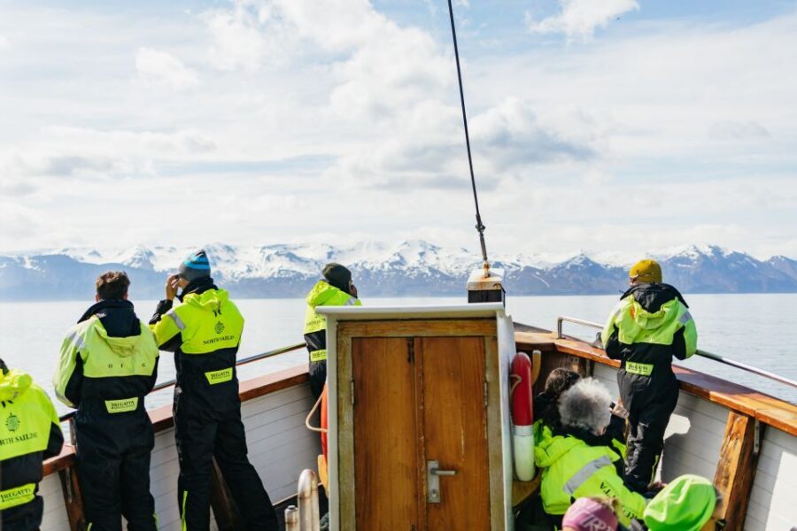 Húsavík: Whale Watching Tour with Guide - Price and value: is $115 a good deal for 3 hours of wildlife?