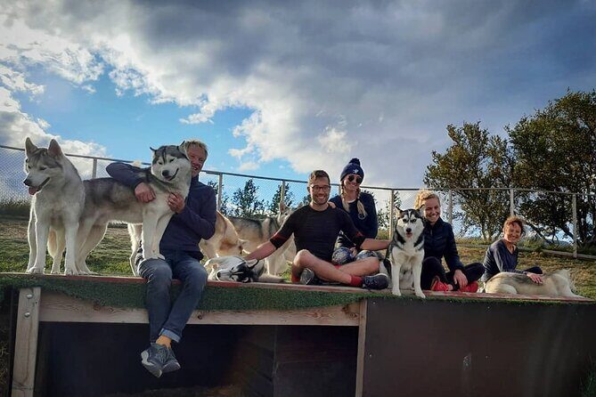 Husky Petting in Akureyri (private) - A Private Husky Hangout Just Outside Akureyri