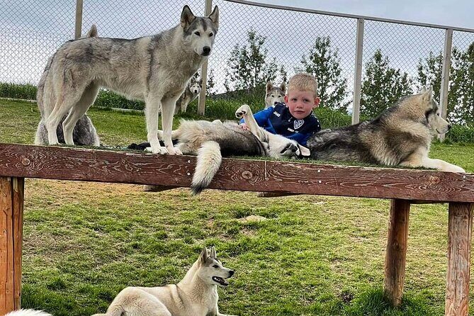 Husky Petting in Akureyri (private) - Coffee, Photos, and the Extras That Make It Feel Like a Visit