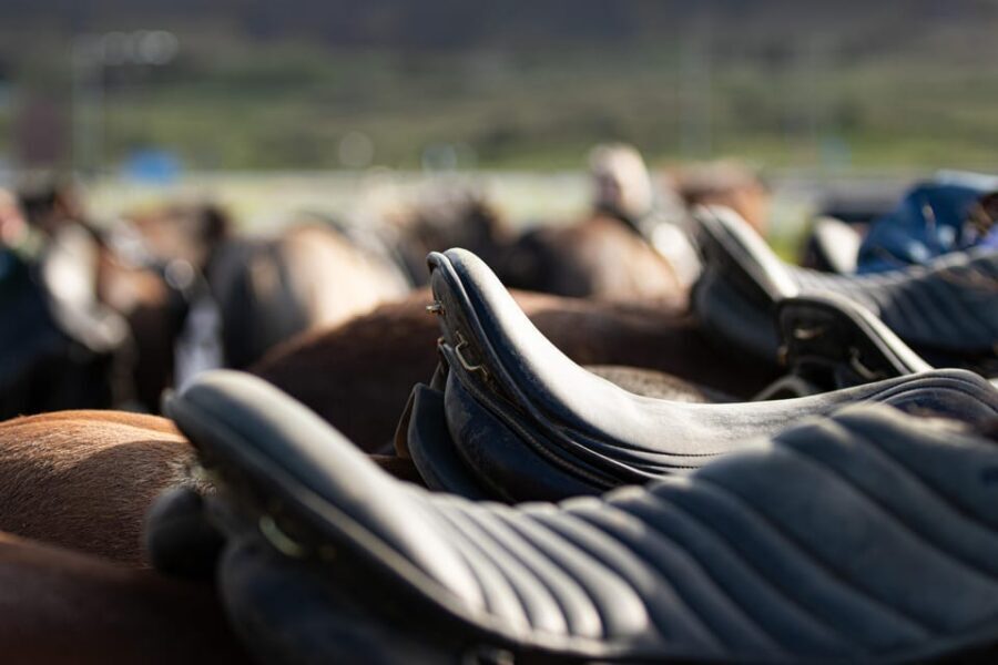 Hveragerdi: Countryside Charm Horse Riding Tour - A 1-hour horse ride from Vellir near Hveragerdi