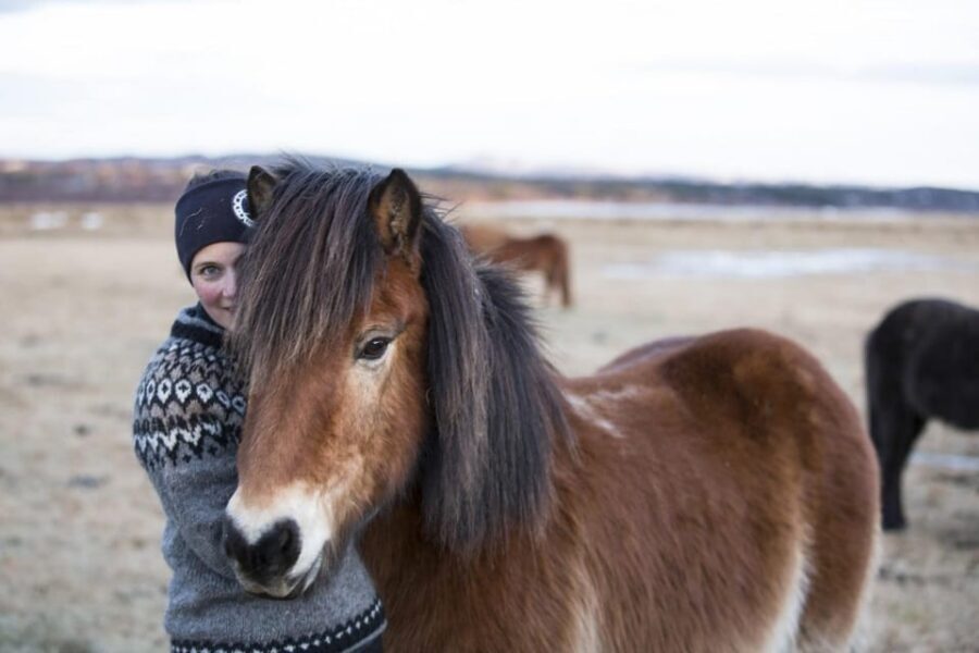 Hveragerdi: Countryside Charm Horse Riding Tour - Price and value: is $96 worth it?