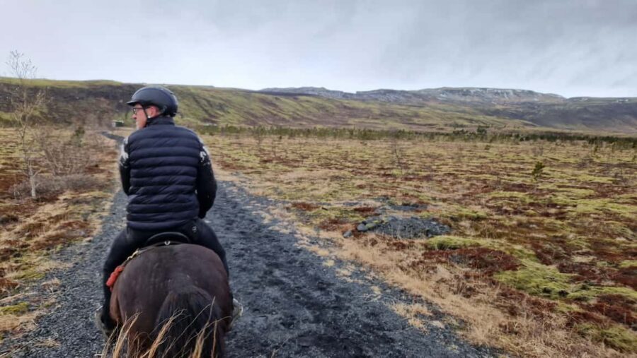 Hveragerði: Horseback Riding Tour for Beginners and … - Riding time: what happens once you mount
