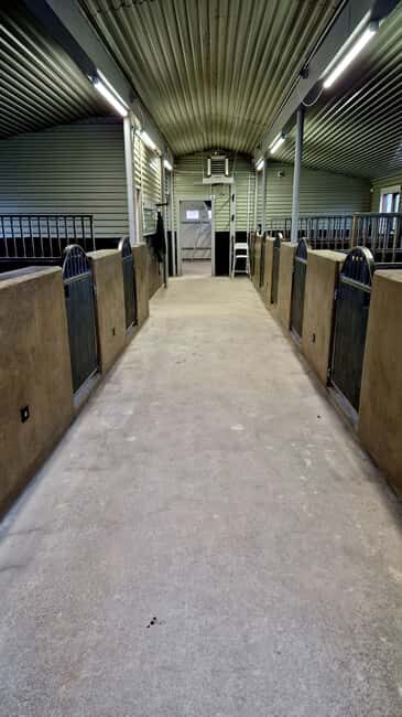 Hveragerði: Horseback Riding Tour for Beginners and … - Practical tips so your hour goes smoothly