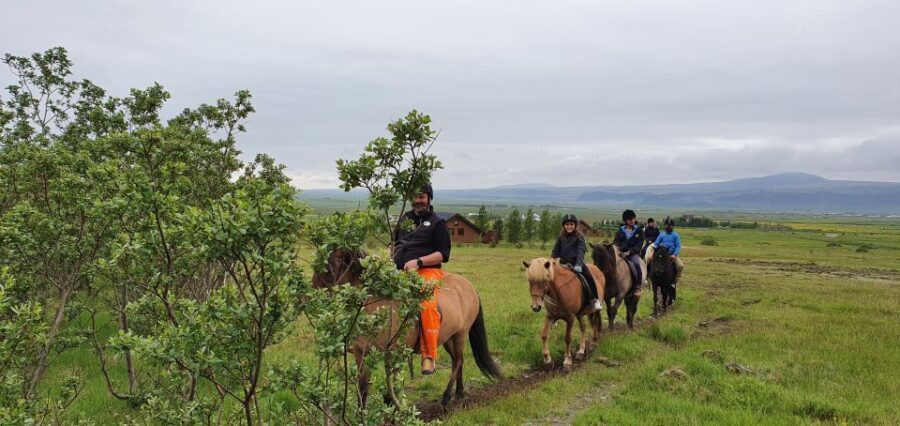 Hveragerdi: Reykjadalur (Hotspring Valley) Horse Riding Tour - Reykjadalur Trail Time: Tölt Gait, Terrain, and the Hot-Spring Valley Vibe