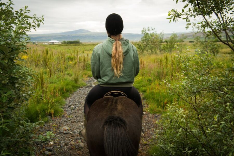 Hveragerdi: Reykjadalur (Hotspring Valley) Horse Riding Tour - Safety, Weight Limits, and Who This Tour Fits Best