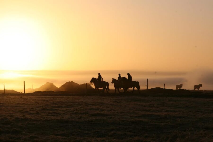 Hveragerdi: The Siggi Horse Riding Tour - The ride route: river Varmá, lava fields, and meadows south of the farm