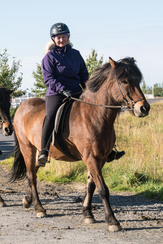 Hveragerdi: The Siggi Horse Riding Tour - Icelandic horses and the tölt: how you actually experience it