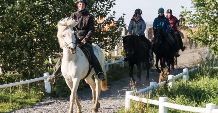 Hveragerdi: The Siggi Horse Riding Tour - Gear and rules: what to bring (and what not to)