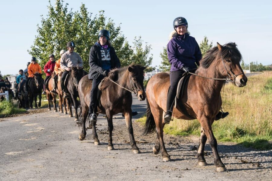 Hveragerdi: The Siggi Horse Riding Tour - Price and value: why $132 feels reasonable here