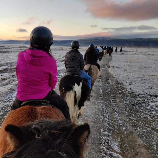 Hveragerdi: The Siggi Horse Riding Tour - The best fit: who should book this tour
