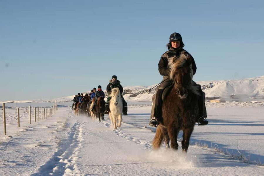 Hveragerdi: The Siggi Horse Riding Tour - Should you book the Siggi Horse Riding Tour in Hveragerði?