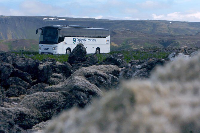 Iceland: Airport Transfers between Keflavík and Reykjavik Center - Keflavík Pickup: Walk Out and Board Without Hunting