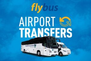 Iceland: Airport Transfers between Keflavik and Reykjavik Hotels - BSÍ Bus Terminal Transfer: Color-Coded Shuttles to Your Stop