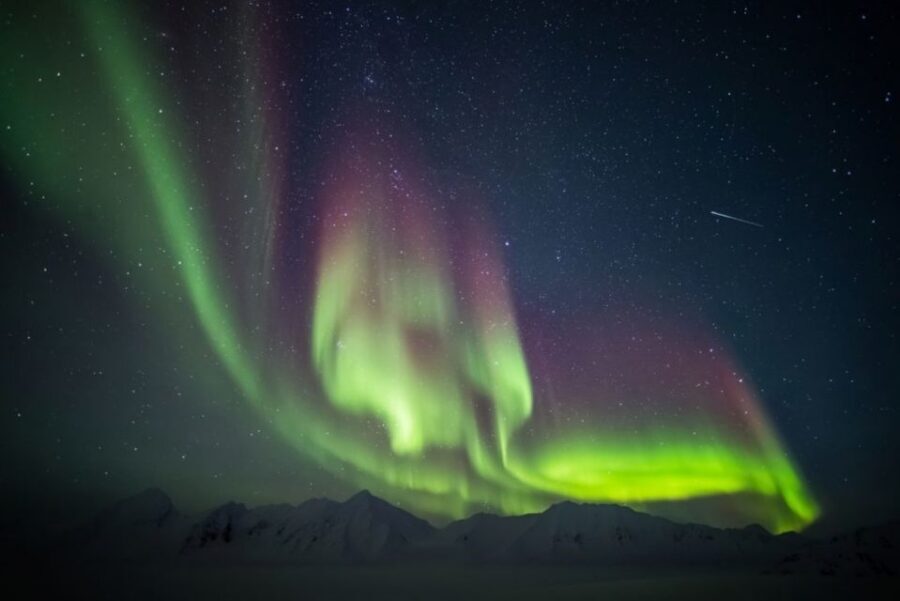 Iceland: South Coast and Northern Lights Tour - Value for $173: what you’re really paying for