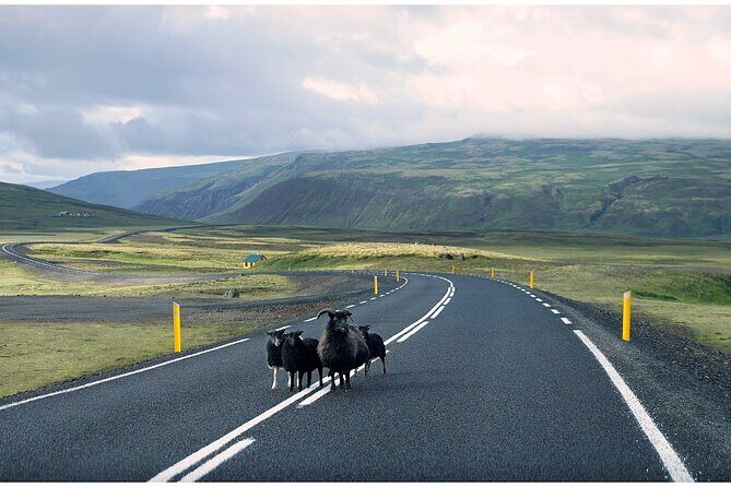 Iceland South Coast Tour with Pickup - What’s included (and what you’ll still need to budget)