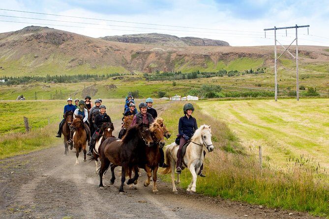 Icelandic Horse Riding and Whale Watching Cruise from Reykjavík - Entering The Day: How the 9:00 AM Flow Feels