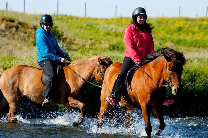 Icelandic Horse Riding and Whale Watching Cruise from Reykjavík - What to Pack: The Stuff That Makes the Day Easier