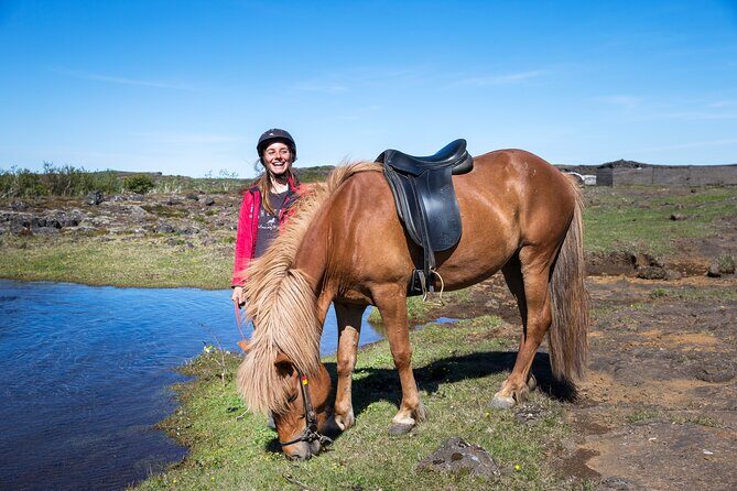 Icelandic Horse Riding and Whale Watching Tour from Reykjavik - Coffee Break and the Quick Transfer to Old Harbor