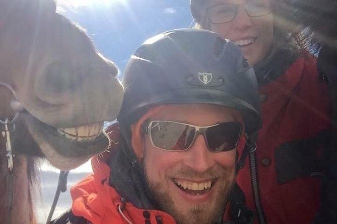 Icelandic Horseback Riding Tour Including Pick Up from Reykjavik - Group size, pacing, and what you’re really paying for