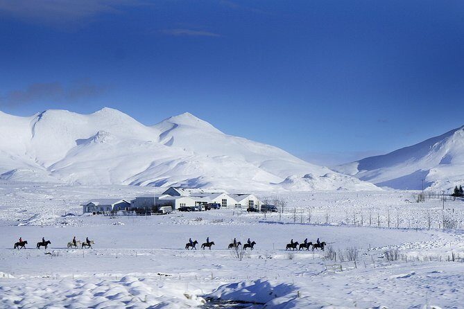 Icelandic Horseback Riding Tour Including Pick Up from Reykjavik - Safety rules you should take seriously