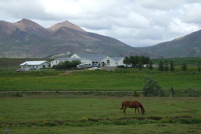 Icelandic Horseback Riding Tour Including Pick Up from Reykjavik - Horse matching makes the ride work for beginners
