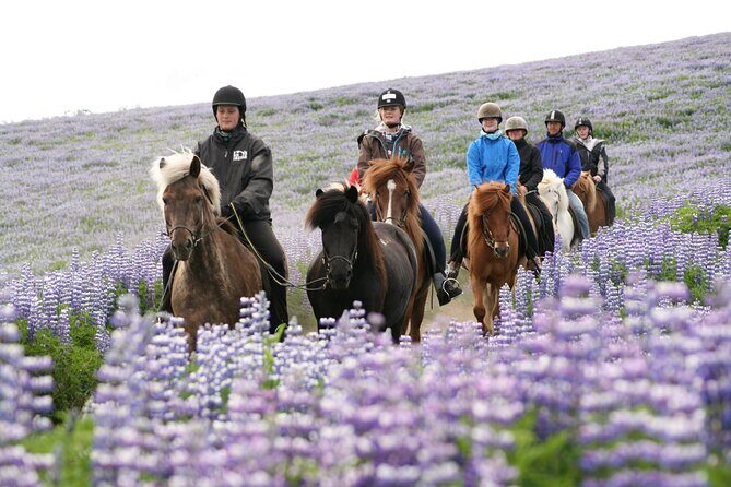 Icelandic Horseback Riding Tour with Pickup Option from Reykjavik - Weather Proofing: Rain Gear, Wind, and What to Wear