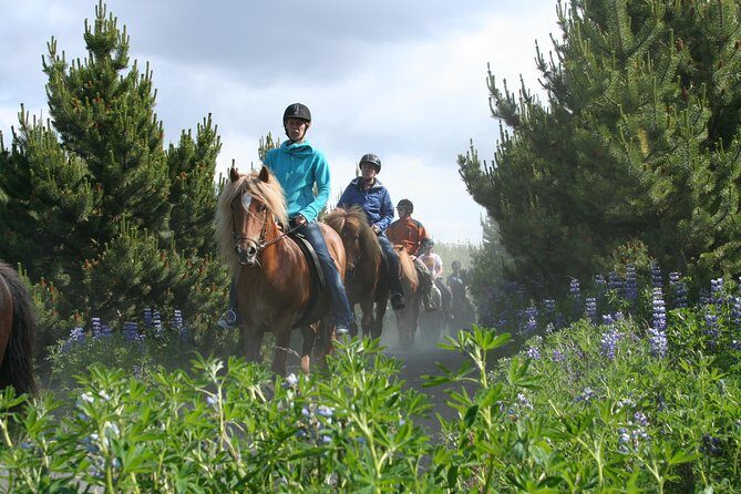 Icelandic Horseback Riding Tour with Pickup Option from Reykjavik - Price and Value: What $133.02 Covers (and What It Doesn’t)