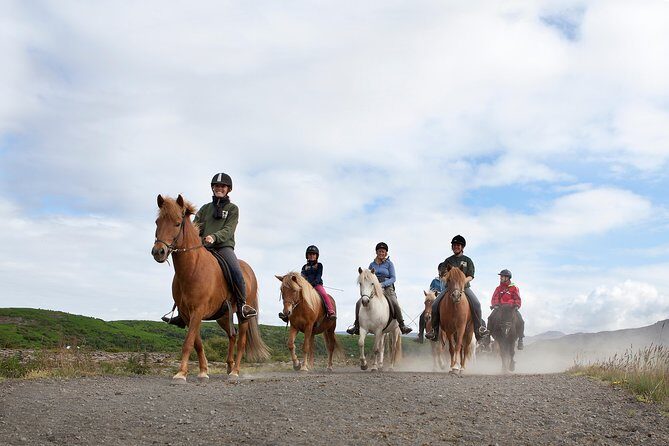 Icelandic Horseback Riding Tour with Pickup Option from Reykjavik - Meeting Your Instructor, Getting Gear, and Learning the Basics First