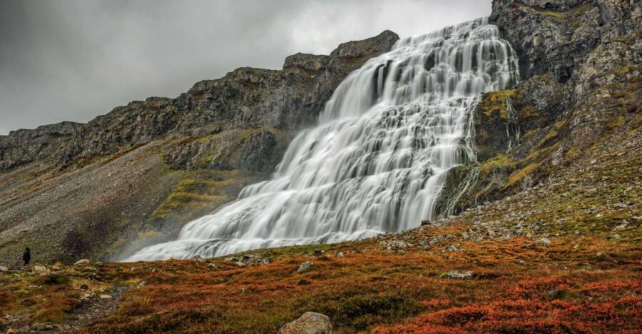 Isafjordur: Dynjandi Waterfall Tour and Icelandic Farm Visit - Key things that make this tour worth your time