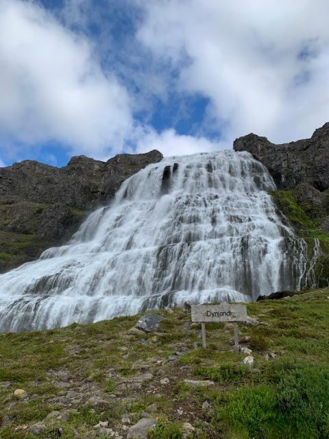 Isafjordur: Dynjandi Waterfall Tour and Icelandic Farm Visit - Gemlufell Farm Visit: Animals, Oats-and-Jam Cake, and That Quiet Iceland Feeling