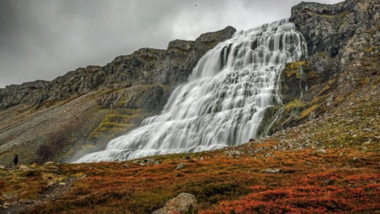 Isafjordur: Dynjandi Waterfall Tour and Icelandic Farm Visit