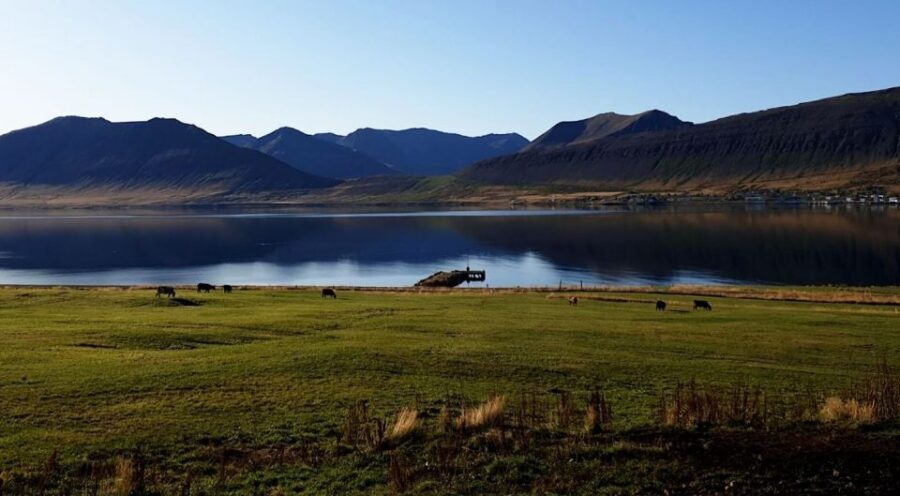Isafjordur: Dynjandi Waterfall Tour and Icelandic Farm Visit - Guide and Driver Energy: Stories, Singing, and Practical Tips